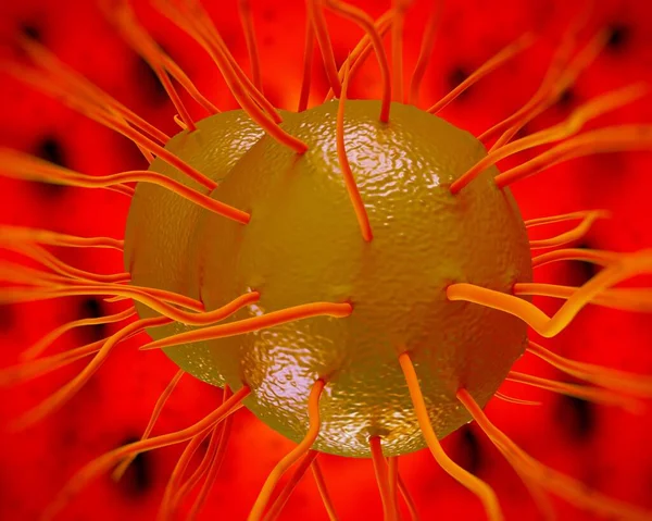 Neisseria Gonorrhoeae Batteri Opere Arte — Foto Stock