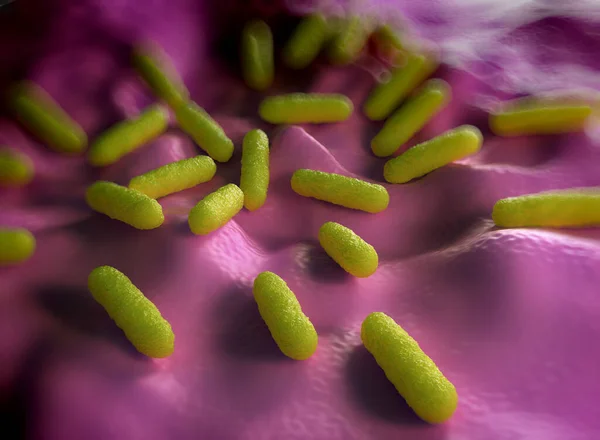 Primer Plano Bacteria Salmonella Typhimurium — Foto de Stock