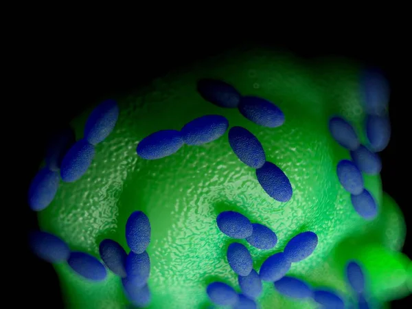 3Dレンダリング アセトバクテリア — ストック写真