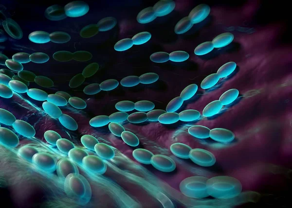 3D görüntüleme - asetobacter bakteri