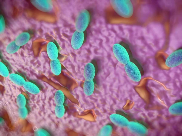 Rendering Acetobacterbacteriën — Stockfoto