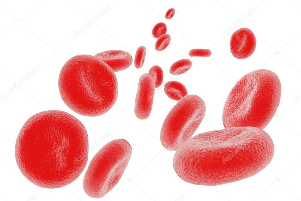 illustration of red blood cells in high detail 