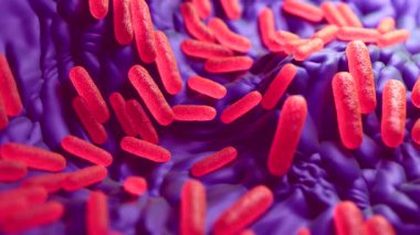 3D illüstrasyon - Salmonella Typhimurium Bakterisi