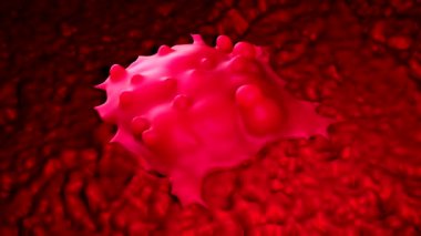 3D Pluripotent Kök Hücreler