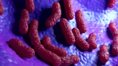 3d Escherichia Coli Bakterisi
