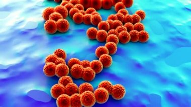 süperböcek veya Staphylococcus aureus (MRSA) bakterisi