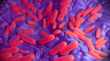 3D illüstrasyon - Salmonella Typhimurium Bakterisi