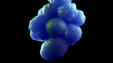 3D Pluripotent Kök Hücreler