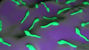 3D Clostridium Tetani Bakterisi