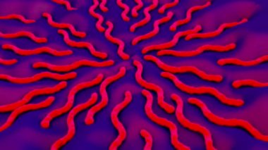 Borrelia Burgdorferi Bakterisinin 3d 'si
