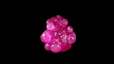 Kanser hücrelerinin apoptozuna 3D yakın çekim 