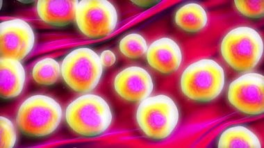 3d illüstrasyon - MRSA Bakteri veya Süper Böcek Bakterisi