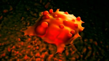 3D Pluripotent Kök Hücreler