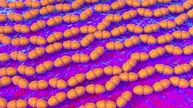Enterococcus Faecalis Bakterisinin 3d illüstrasyonu