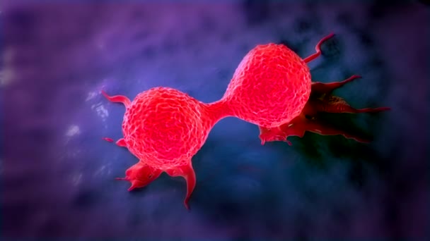 Крупним Планом Ділення Ракових Клітин Молочної Залози — стокове відео