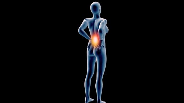 人間の解剖学的腰痛 — ストック動画