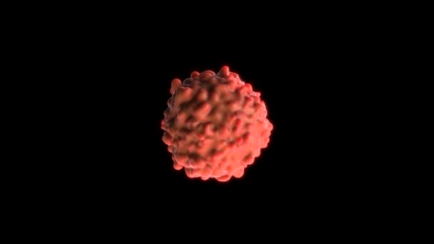 Closeup Των Κυττάρων Του Καρκίνου Του Εγκεφάλου — Αρχείο Βίντεο