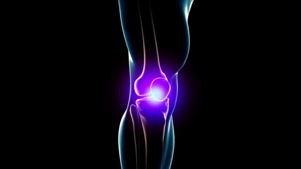 人体解剖性膝痛 — 图库视频影像