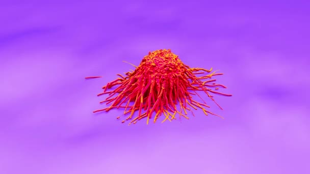 Kanser Hücrelerinin Yakın Çekimi — Stok video
