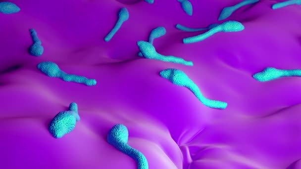 Clostridium Tetani Bactéria — Vídeo de Stock