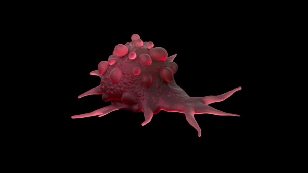 Primer Plano Las Células Cancerosas Vejiga — Vídeos de Stock