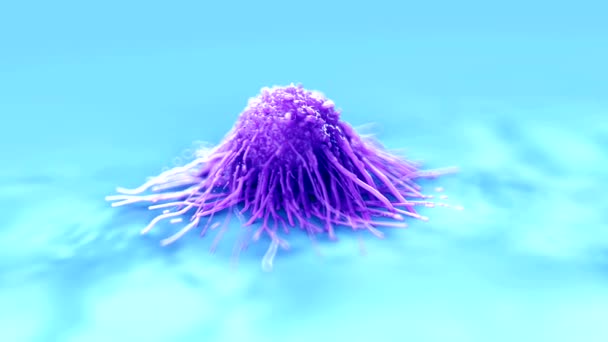 Крупный План Раковых Клеток — стоковое видео