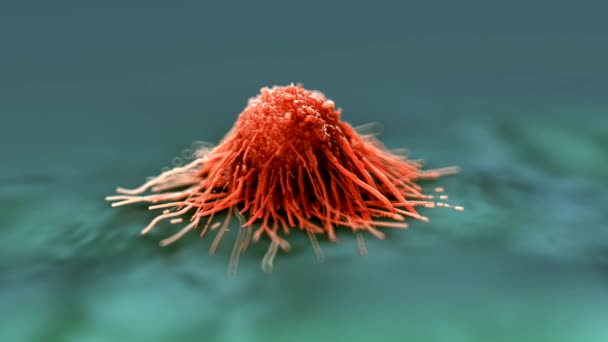 3D癌症细胞的特写 — 图库视频影像