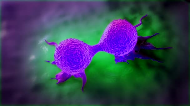 Göğüs Kanseri Hücrelerinin Bölünmesine Yakın Çekim — Stok video