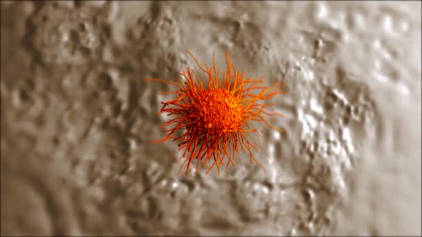 Closeup Των Καρκινικών Κυττάρων — Αρχείο Βίντεο