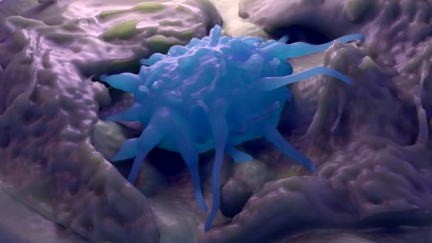 组织嗜酸性粒细胞病特写镜头 — 图库视频影像