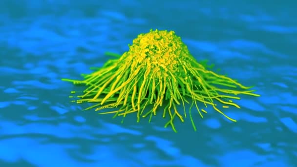 Closeup Των Καρκινικών Κυττάρων — Αρχείο Βίντεο