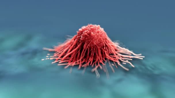 Primer Plano Las Células Cancerosas — Vídeo de stock