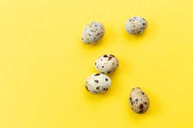 Sarı arka planda birkaç bıldırcın yumurtası. Seçici odak.