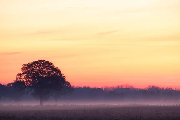 Kırsalda sisli bir sabah