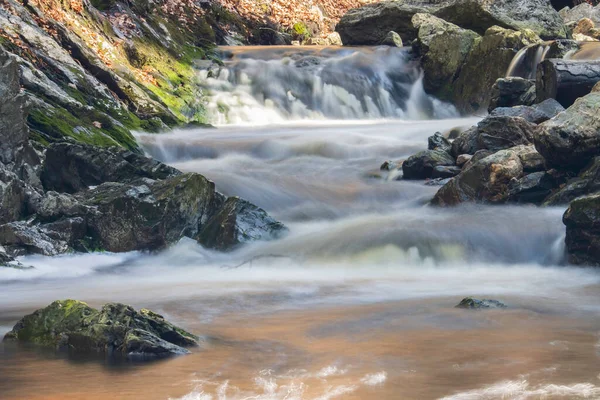 Belçika Ardennes 'de küçük bir dağ nehri
