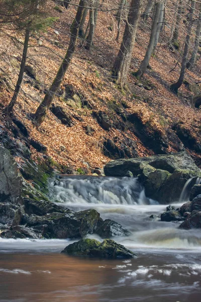 Belçika Ardennes 'de küçük bir dağ nehri