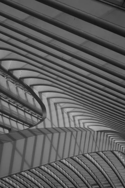 Çizgi oyunu, istasyonun çatısının detayları.