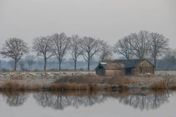 Köyde dondurucu bir sabah