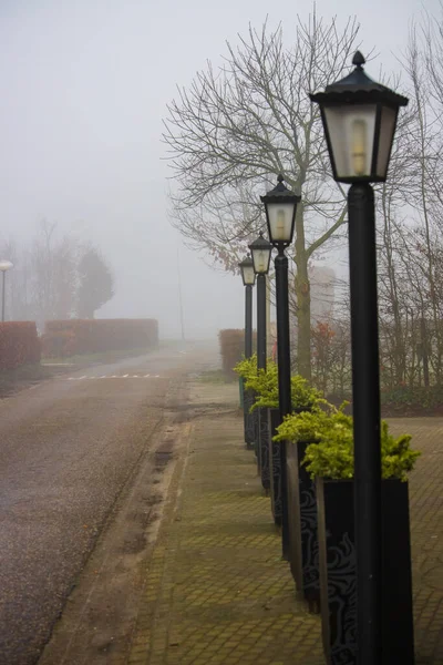 Sisin içinde fenerler olan köy caddesi.