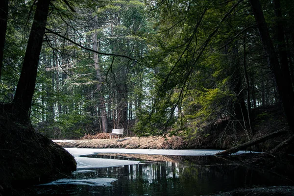 Η λίμνη ξεπαγώνει την άνοιξη στο δάσος — Φωτογραφία Αρχείου