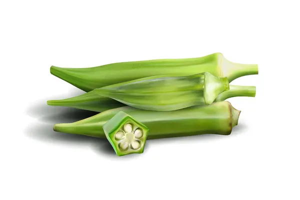 Jeune okra frais isolé sur fond blanc. Vecteur réaliste de qualité, illustration 3D — Image vectorielle