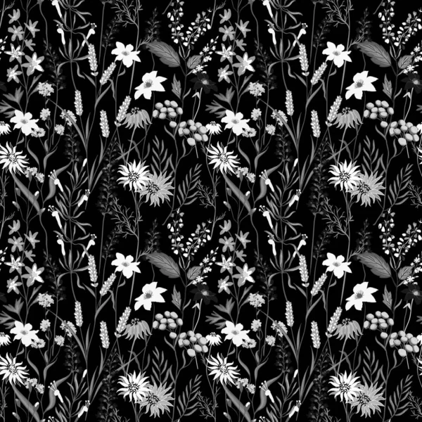 Vector vintage floral de patrones sin fisuras. Hierbas y flores silvestres. Estilo de grabado de ilustración botánica. Blanco y negro — Vector de stock