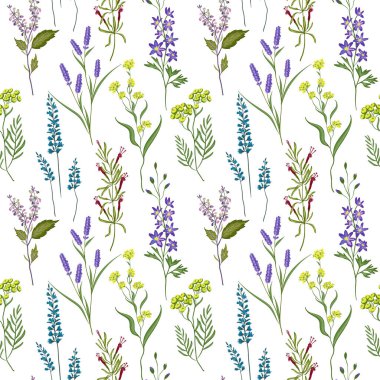 Kesintisiz görüntü aromatik otlar. El çizimi. Sorunsuz kumaş tasarımı, hediye ambalaj kağıt ve baskı ve web projeleri için.