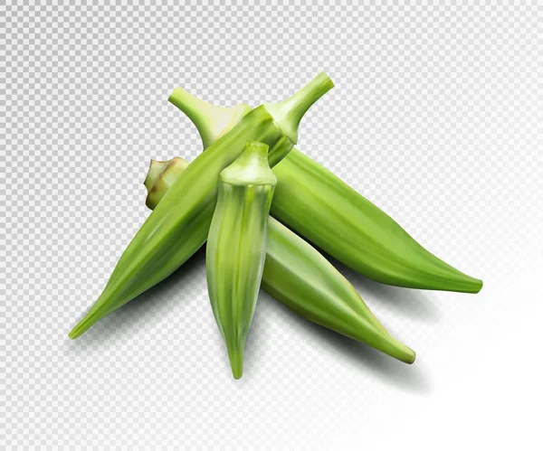 Färsk ung okra isolerad på transparent bakgrund. Kvalitetrealistisk vektor, 3D-illustration — Stock vektor