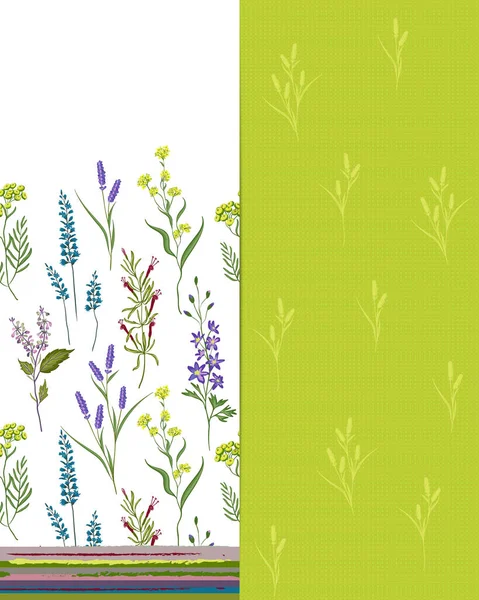 Vektor nahtlose Muster mit Wildblumen, Kräutern und Gräsern gesetzt. Dünne zarte Linien Silhouetten von verschiedenen Pflanzen. Pastellfarben auf weißem und grünem Hintergrund — Stockvektor