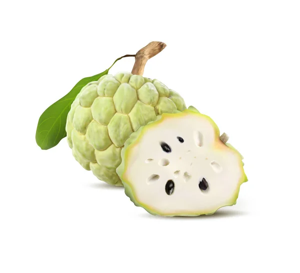 Sugar Apple Custard Apple Isolated White Background Clipping Path Full — Stock Vector