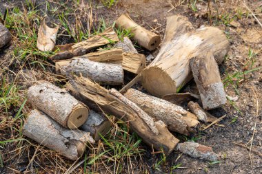 Evi ısıtmak, kış için odun toplamak ya da şenlik ateşi yakmak için hazırlanmış odun yığını..