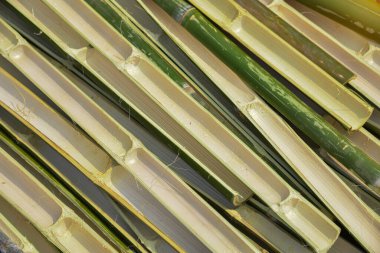 Bamboo trunk is commonly used to make bales of rice, home appliances and wickerwork in many countries in Asia.