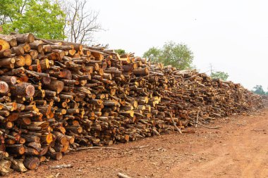 Evi ısıtmak için hazırlanmış odun yığını, kışın ısınmak için toplanmış odun yığını, yığılmış odun yığını ve kış için hazırlanmış odun yığını..