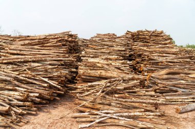 Evi ısıtmak için hazırlanmış odun yığını, kışın ısınmak için toplanmış odun yığını, yığılmış odun yığını ve kış için hazırlanmış odun yığını..